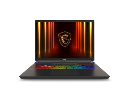 MSI Vector 17 HX AI A2XWIG 17" QHD+ IPS Intel Core Ultra 9 275HX vPro 64GB RAM 2x2TB SSD NVIDIA RTX 5080 16GB Win11Home - Cosmos Gray